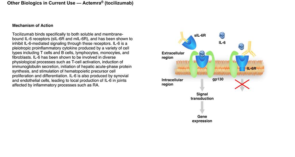 mtx dosage for ra