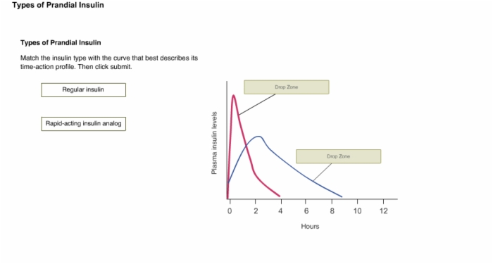 prandial insulin