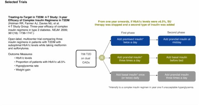 Three Year Efficacy of Complex Insulin Regimens